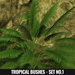 Second Life Marketplace - [YAN] outdoor plants - tropical bushes - set no.1
