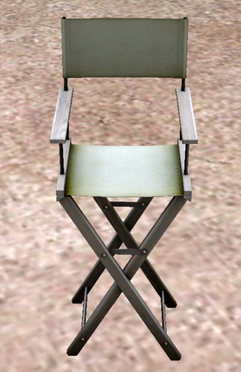 HIDEKI - Directors Chair