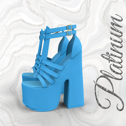 Chunky High Heels