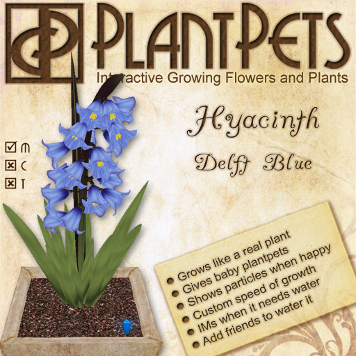 * PlantPet Seed [Hyacinth *Delft Blue*]