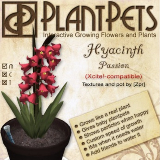 * PlantPet Seed [Hyacinth *Passion*]