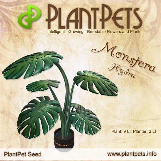 PlantPet Seed [Monstera *Hydra*]