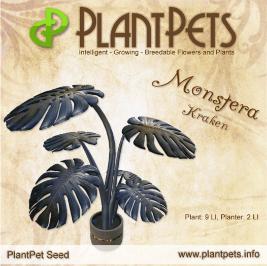 PlantPet Seed [Monstera *Kraken*]