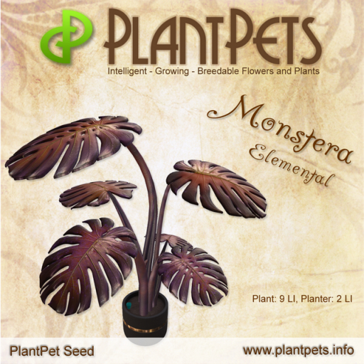 PlantPet Seed [Monstera *Elemental*]