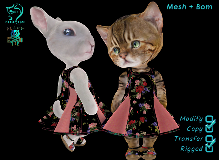 Dinkie Amsterdam Rita Dress Set - Roses