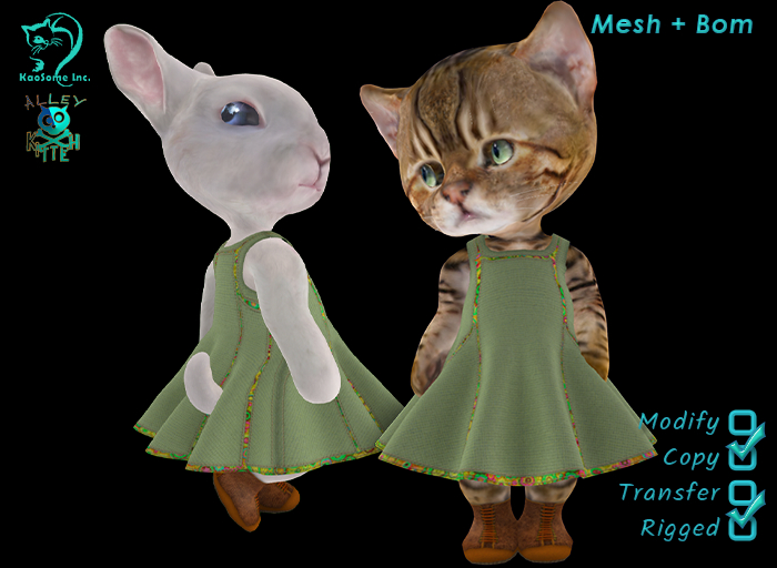 Dinkie Amsterdam Rita Dress Set - Spring Picnic