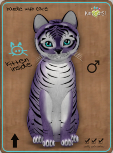 KittyCatS Box - Tiger Dusky Plum/1T/Male