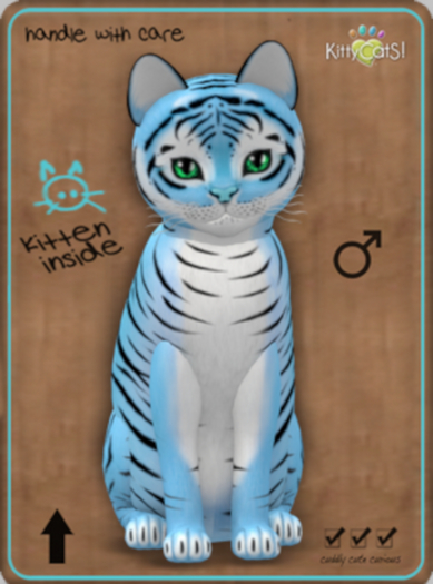 KittyCatS Box - Tiger Powder Blue/3T/Male