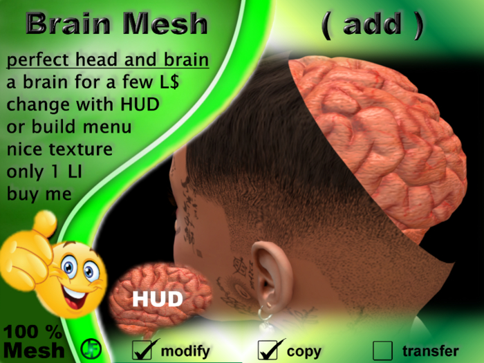 [JF] Brain Mesh (add)