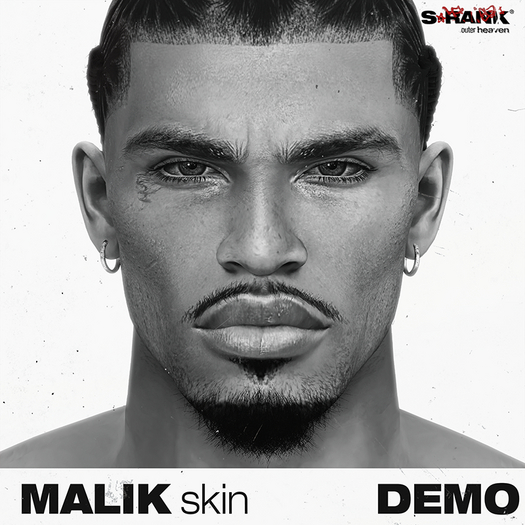 *DEMO* S-RANK "MALIK" SKIN