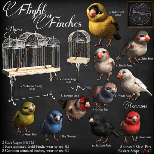 1. *HEXtraordinary* Victorian Finch Aviary - RARE 