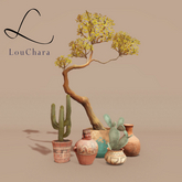LouChara Cheyene Pots and Plants 