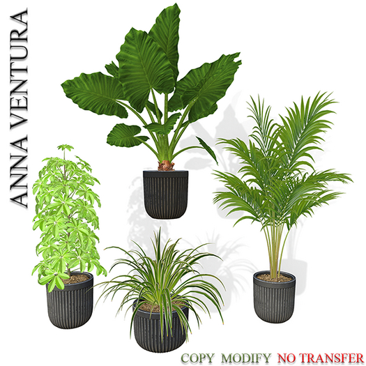 A.V _Plant in modern pot_06