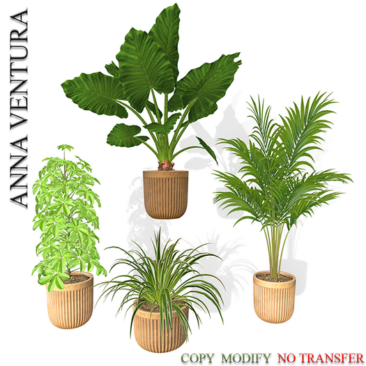 A.V _Plant in modern pot_05