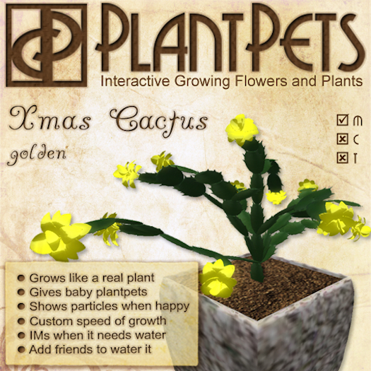 PlantPet Seed [Xmas Cactus *Golden*] RARE