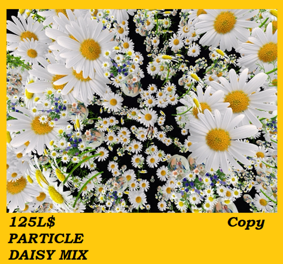 PARTICLE DAISY MIX