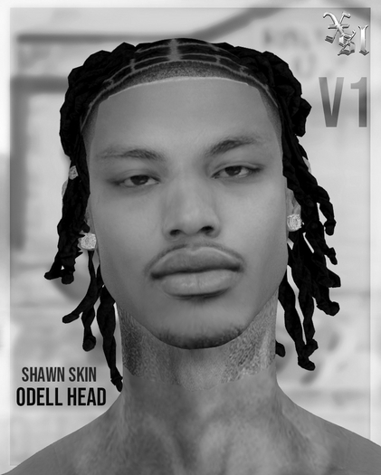 X// Shawn Skin V1 DEMO *ODELL HEAD*