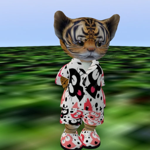 cat nip SET