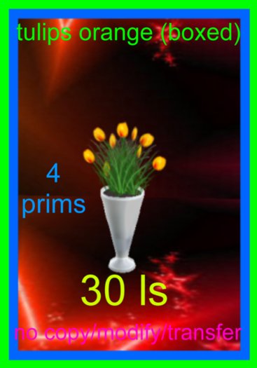 tulips orange(boxed)