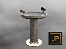 13. STEELHEAD GENERAL STORE [1883 BIRD BATH]