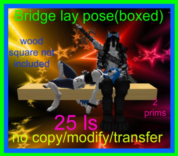 Bridge couples pose(boxed)