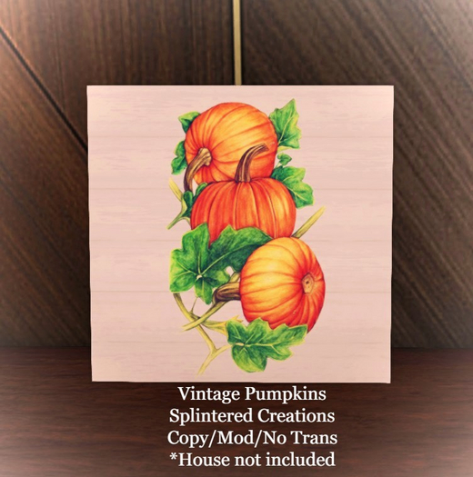 SC: Vintage Pumpkins Boxed