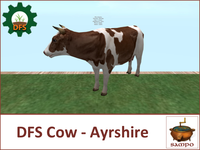 DFS Cow - Ayrshire