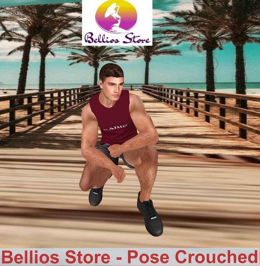 Bellios Store - Pose Crouched