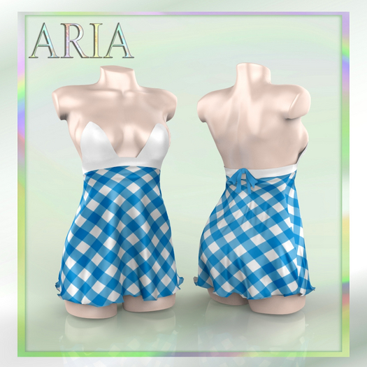Dorothy Costume