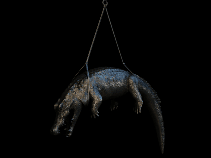 Fat Decor Croc