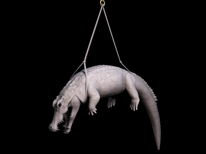 Fat Decor Croc
