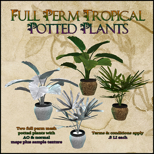 Full Perm Tropical Potted Plants