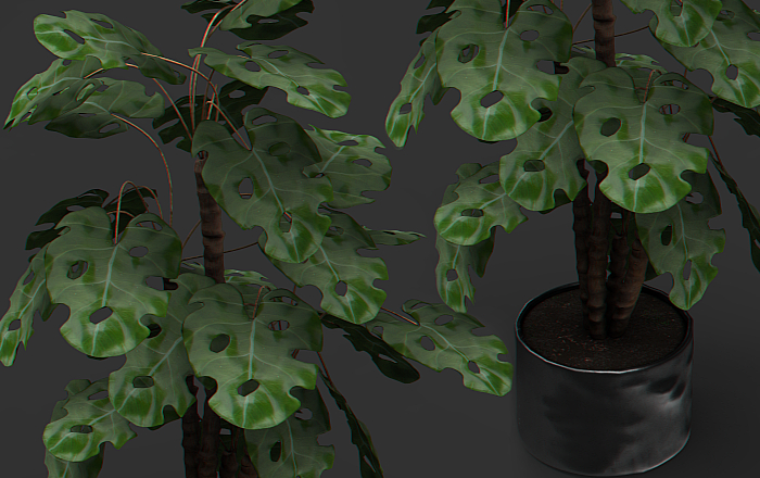 //R88 FUNKY PLANT //RETRO lll