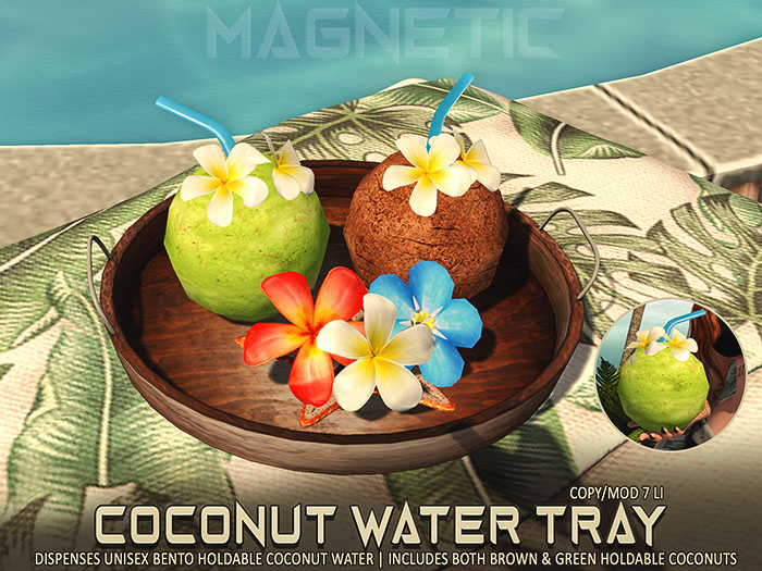 Magnetic - Coconut Water Tray