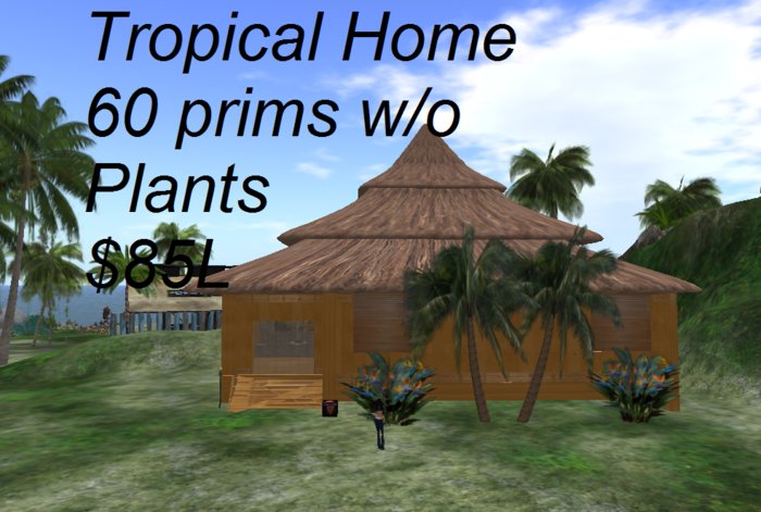 Tropical Home/512