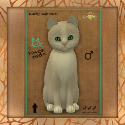 Fur: Genesis - Pearl II ♂