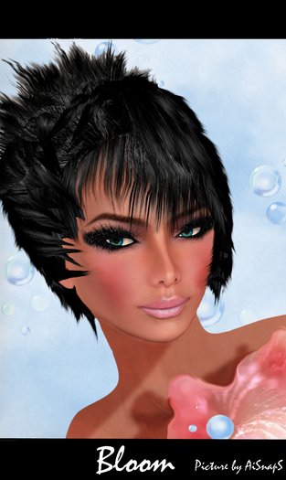 Pack Bia Bloom Skin's