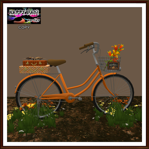 Autumn - Orange Bike