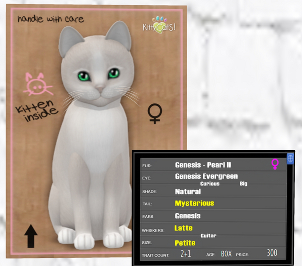 KittyCatS Box - Genesis - Pearl II (Petite)