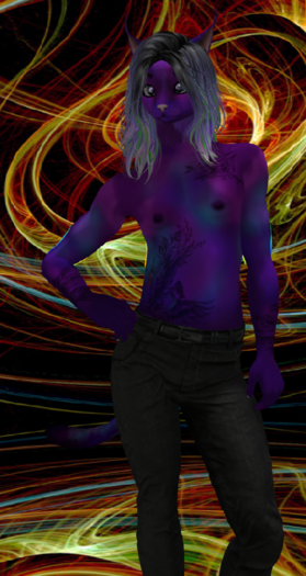 +FP+ Galaxy Cat