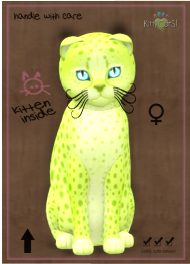 KittyCatS Box - Cheetah! - Lime No. 2