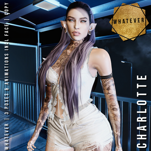 WHATEVER - CHARLOTTE - COPY FATPACK