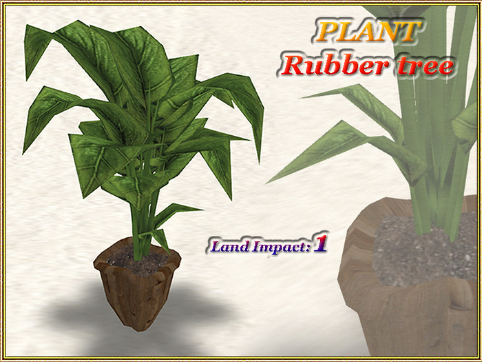 PLANT - Rubber tree (1 LI) (Full perm)