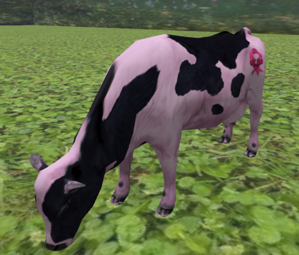 DFS Cow RYR