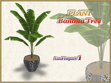 PLANT - Banana Tree (1 LI) (Full perm)
