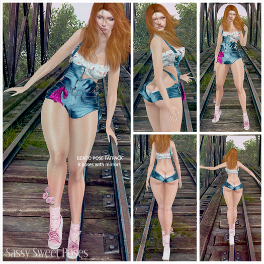 SSP - Rails (wear to unpack)
