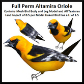 Full Perm Altamira Oriole