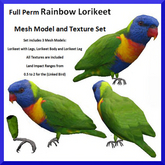 Full Perm Rainbow Lorikeet