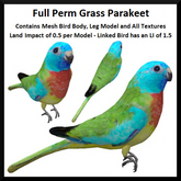 Full Perm Grass Parakeet