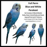 Full Perm Blue and White Parakeet
